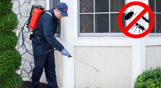 Özalp Bit İlaçlama böcek ilaçlama ve haşere kontrolü — ilaclama-tr.com